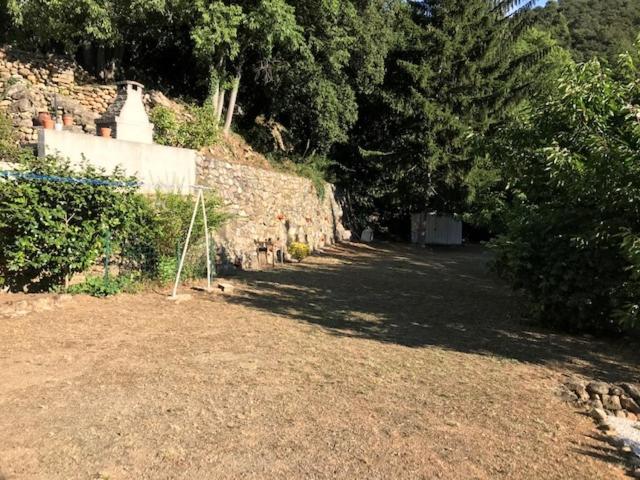 Bel Appartement Type F3 Amelie-les-Bains-Palalda Bagian luar foto